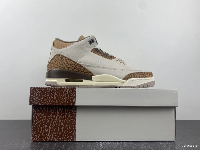CT8532-102 3 Palomino Jordan Air 1010